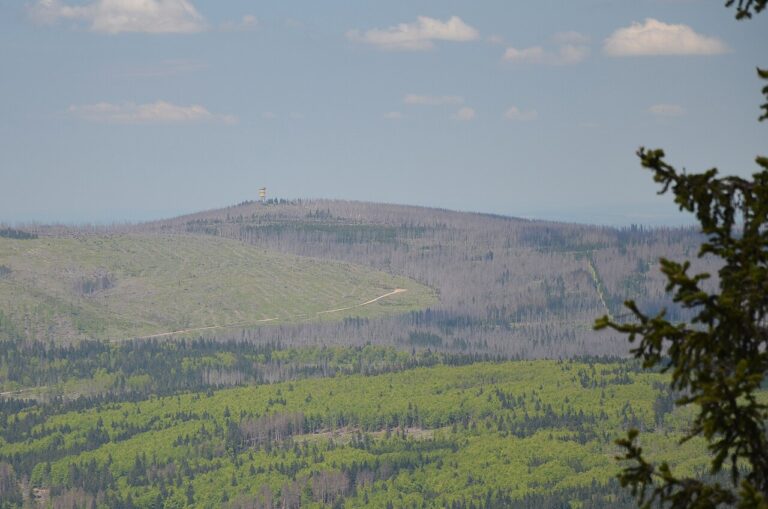 Poledník (Šumava)