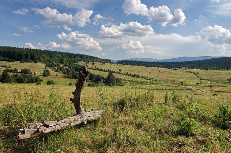Hadí vrch